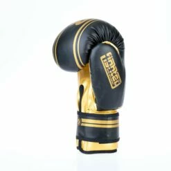 Fighter Boxing Gloves Basic Stripe - Black/gold 13 Fighter Boxing Gloves Basic Stripe - Black/gold -Fighters Europe Store 1376APU BG03
