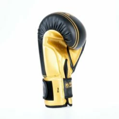 Fighter Boxing Gloves Basic Stripe - Black/gold 17 Fighter Boxing Gloves Basic Stripe - Black/gold -Fighters Europe Store 1376APU BG07