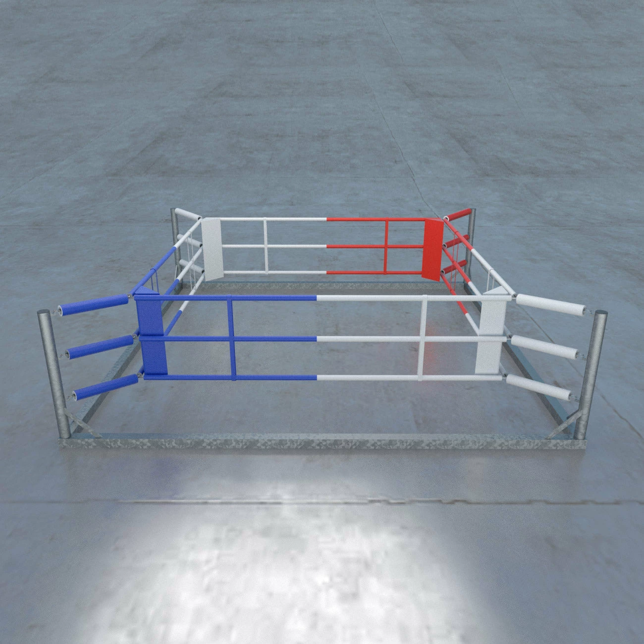 Free-Standing Training Ring, 905-0 8 Free-Standing Training Ring, 905-0 - Image 6