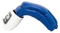 Top Ten MMA Gloves Striking C-Type - Blue/white, 23351-61 -Fighters Europe Store 409f0942b43f3378617f2245dbc195d8