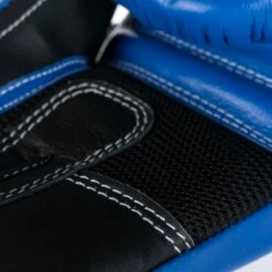 Top Ten Boxing Gloves 4Select - Blue/black, 2244-69 16 Top Ten Boxing Gloves 4Select - Blue/black, 2244-69 -Fighters Europe Store 5dc2c0633ece86e64147275fc634a0dd