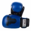 Fighter Basic Gloves - Blue/black, 1376APUBL