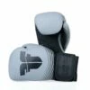 Fighter Boxing Gloves SPLIT Stripes - Gray/black -Fighters Europe Store FBG 001 SGR01