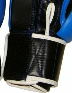 Top Ten Competition Boxing Gloves Olympia - Blue, 2011-6 -Fighters Europe Store d1a7845c1f0049d2b42bd57c8920d9b6