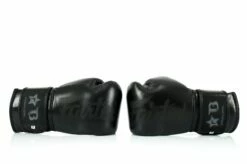 Fairtex Boxing Gloves Booster Series - Black -Fighters Europe Store fairtex booster black on black4