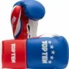 Top Ten Classic Lace Up Boxing Gloves - Tricolor 1 Top Ten Classic Lace Up Boxing Gloves - Tricolor -Fighters Europe Store top ten gloves profi tricolor blue red 20183 1